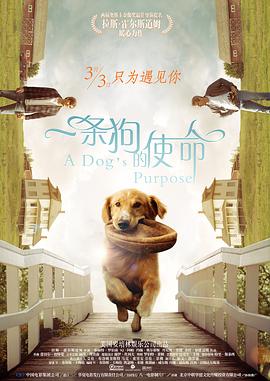 日本环奴choye乳环重口